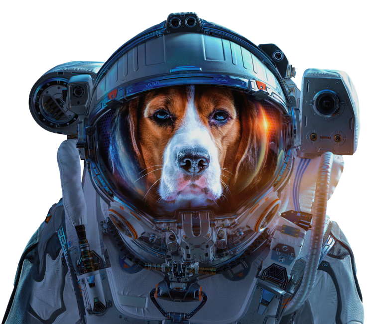 Animall DeWorm Ultra